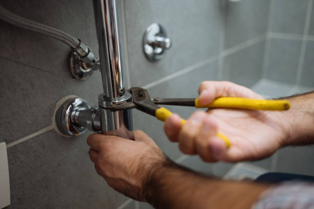 Best Commercial Plumbing Services  in Elk River, MN