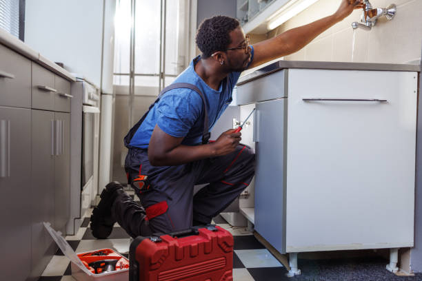 Best Affordable Plumber Near Me  in Elk River, MN